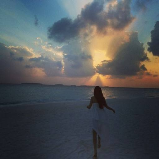 1497337346121042dS56.jpg timg (1).jpg