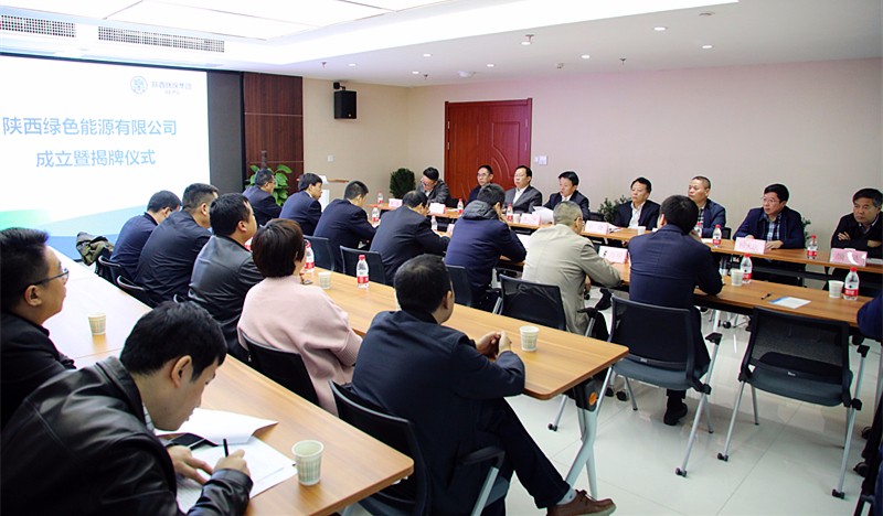 1507620885420337MZxK.jpg ÂÌÉ«ÄÜÔ´¹«Ë¾½ÒÅÆ´ó¾°.jpg