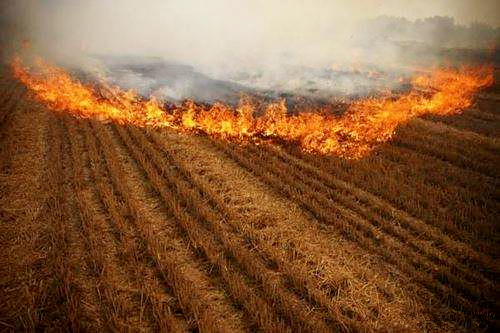 1540487305103185eLpz.jpg timg (5)_¸±±¾.jpg