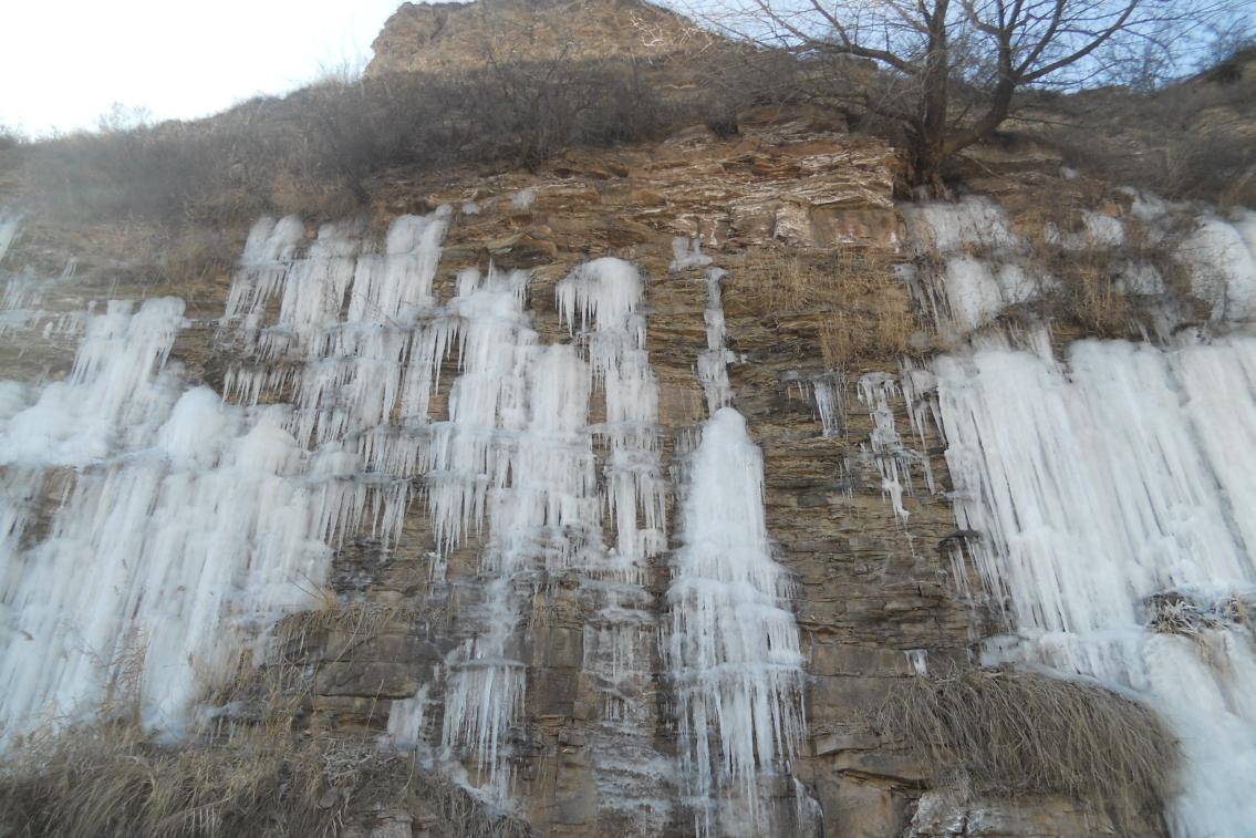 1668563012271322c68K.jpg ³ö¶ÓÚ»ùÑÒÁÑ϶Öеġ°±ùÆÙ²¼¡±£¨2013ÄêÅÄÉãÓÚÉÂÎ÷Ê¡ÏÌÑôÊг¤ÎäÏØ£©.jpg