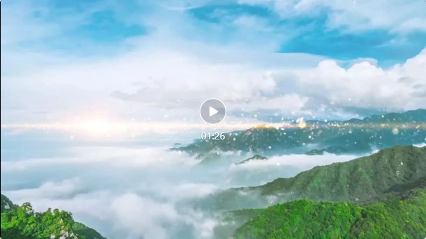 16859308928485031sD8.png ceb0bfa9c54c0c4dfb2c8bbdd2cc399.png