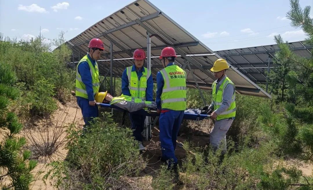 1686789033623752P8Vs.jpg 640.jpg