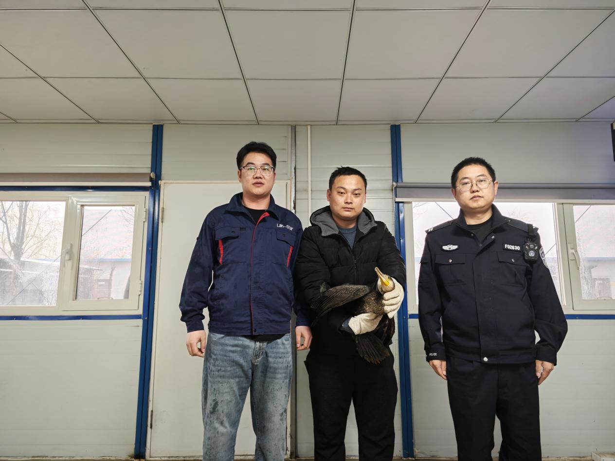 17124553693457718Odm.png ¶¯Îï¾ÈÖúÒÆ½»ÏÖ³¡ÕÕÆ¬ (1).png